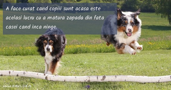 Citate amuzante - #1912