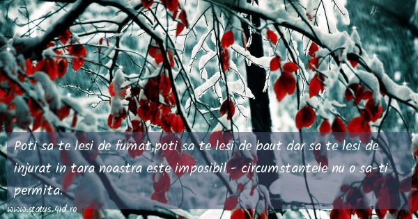 Citate amuzante - #3575