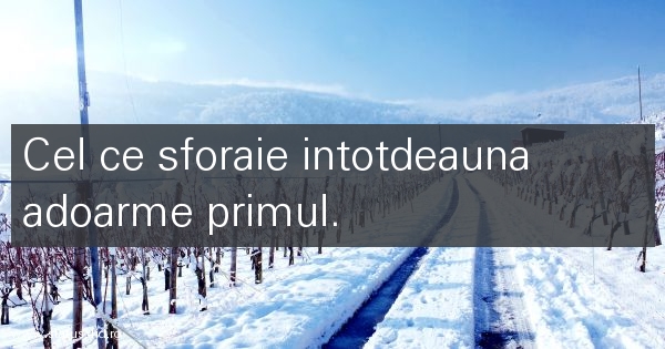 Citate amuzante - #3754