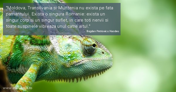 Citate amuzante - #4196