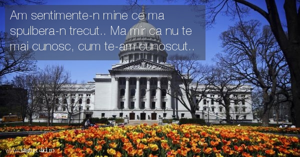 Am sentimente-n mine ce ma spulbera-n trecut.....