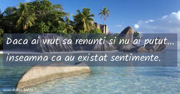 Daca ai vrut sa renunti si nu ai putut......