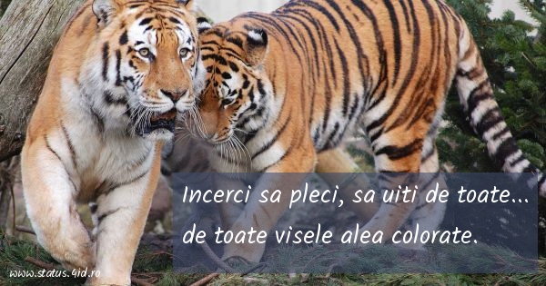 Citate de despartire - #2467