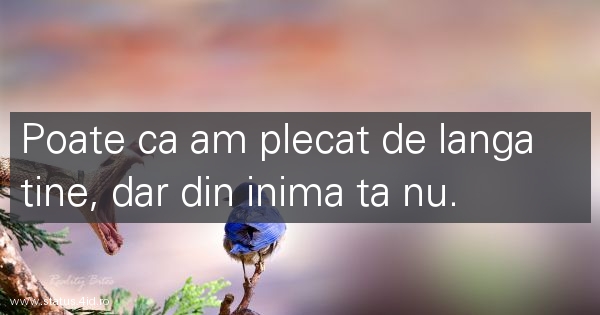 Citate de despartire - #2492