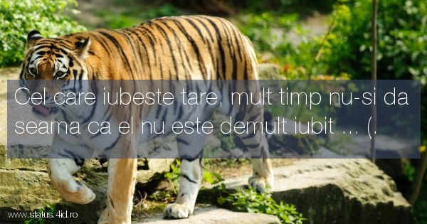 Cel care iubeste tare, mult timp nu-si da seama...