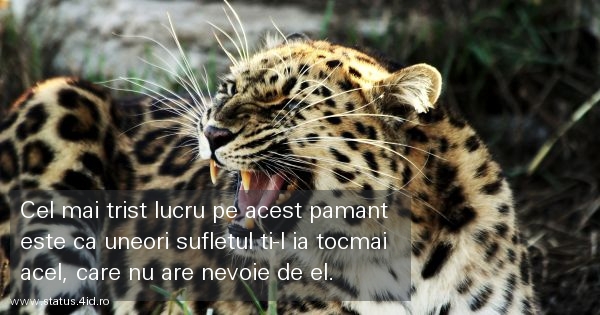 Cel mai trist lucru pe acest pamant este ca...