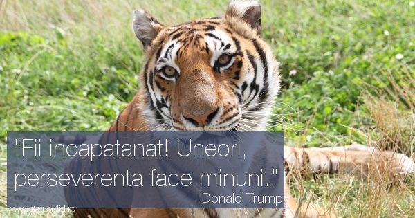 Citate - #4887