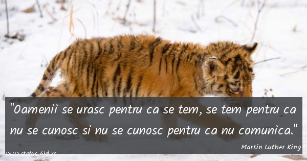 Citate de despartire - #5560