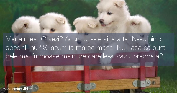 Mana mea. O vezi? Acum uita-te si la a ta. N-au...