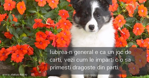 Citate de dragoste - #2758