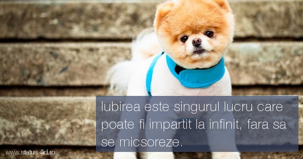 Iubirea este singurul lucru care poate fi...