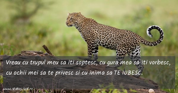 Citate de dragoste - #3527