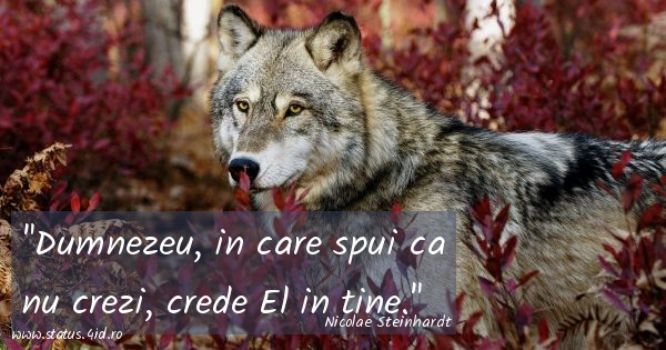 Dumnezeu, in care spui ca nu crezi, crede El in...