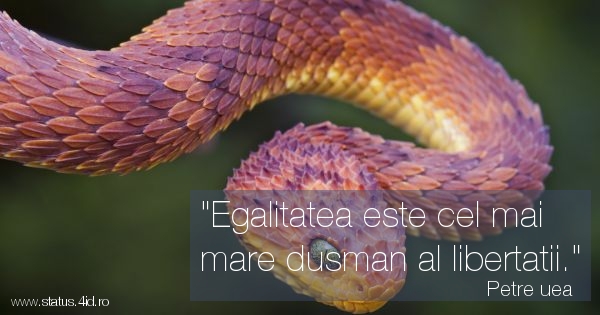 Citate de dragoste - #5847