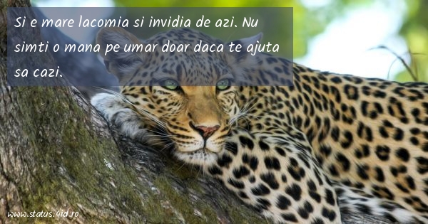 Citate de suparare - #2417