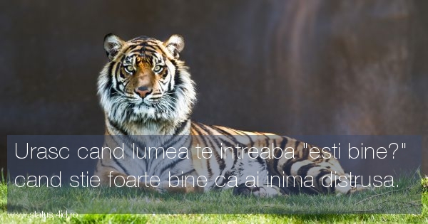 Citate de suparare - #3019
