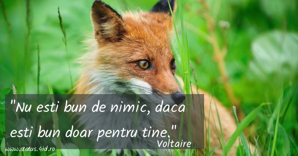 Citate de suparare - #4353