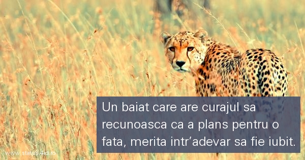 Citate despre baieti - #3015
