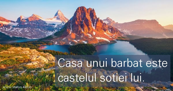 Citate despre baieti - #3639