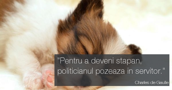 Citate - #4087