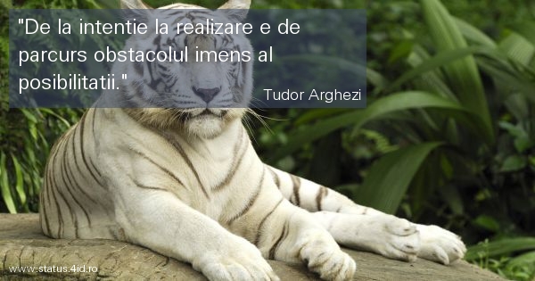 Citate despre baieti - #5416