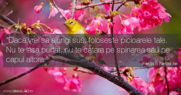 Citate despre baieti - #5737