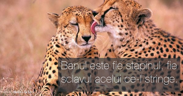 Citate despre bani - #3535