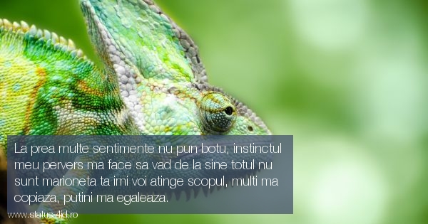 Citate despre fete - #2245