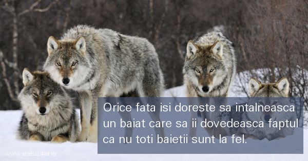Citate despre fete - #3279