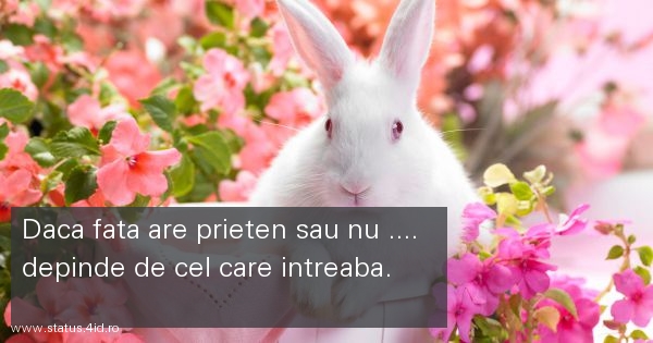 Citate despre fete - #3508