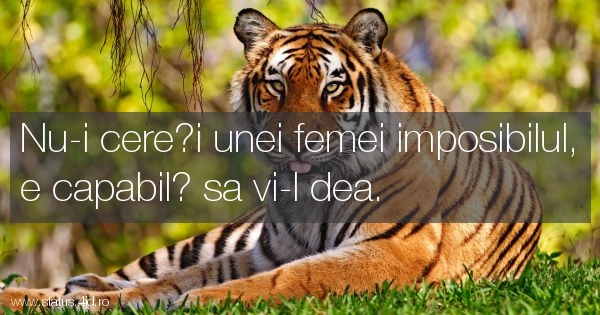 Nu-i cere?i unei femei imposibilul, e capabil?...