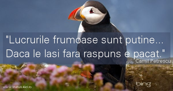 Citate despre fete - #4321