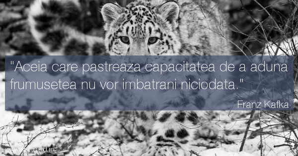 Citate despre fete - #5339