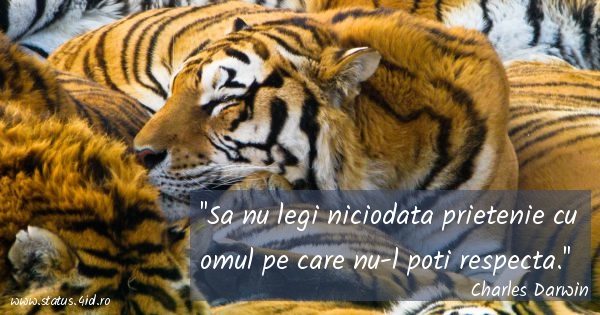 Citate despre fete - #5754
