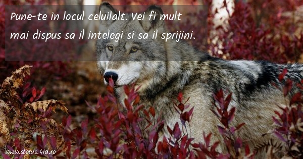 Citate despre prieteni - #2909