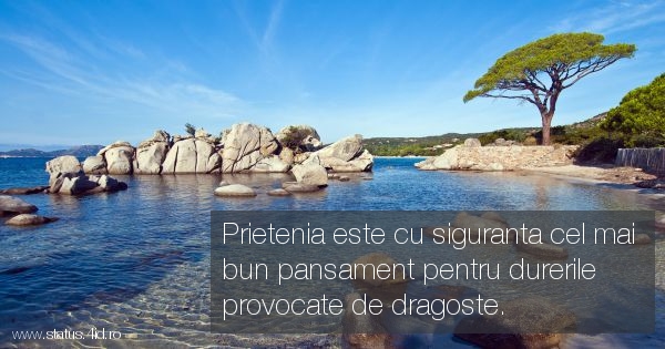 Citate despre prieteni - #3635