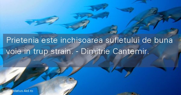 Citate despre prieteni - #3658