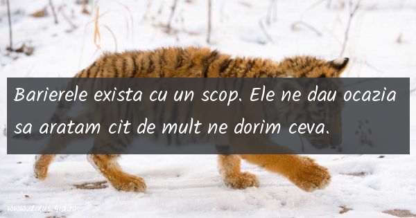 Citate despre viata - #1797