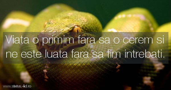Citate despre viata - #1958