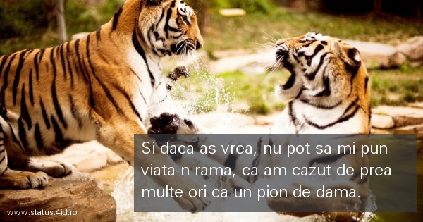 Citate despre viata - #1970
