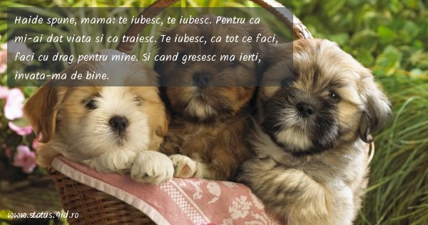 Citate despre viata - #2430