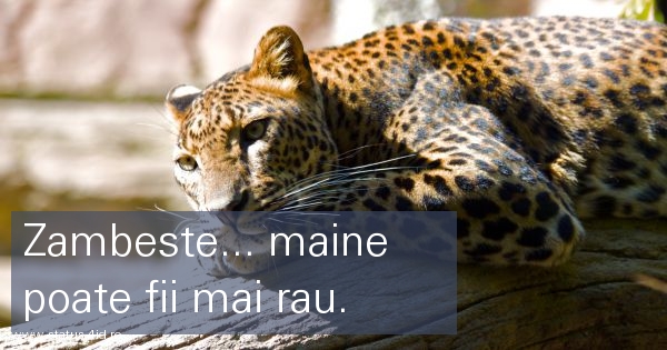 Citate despre viata - #2483