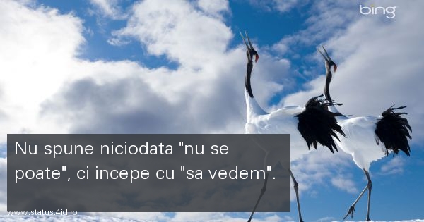 Citate despre viata - #2528
