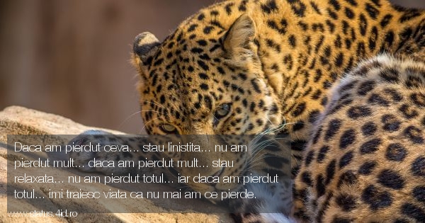 Citate despre viata - #2653