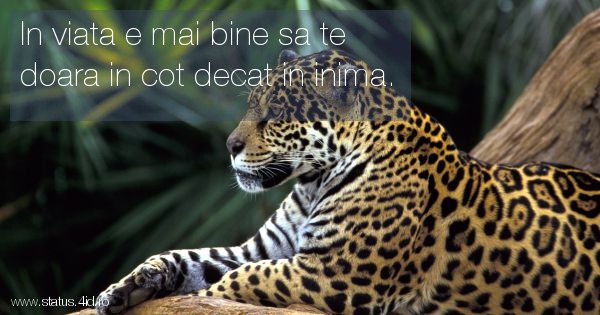 Citate despre viata - #3073