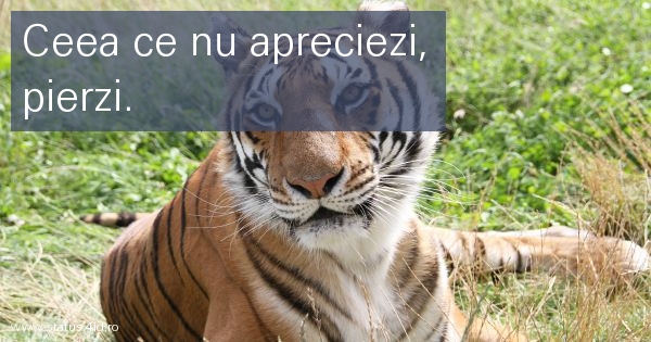 Citate despre viata - #3484