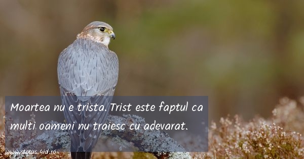 Moartea nu e trista. Trist este faptul ca multi...