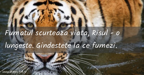 Citate despre viata - #3703