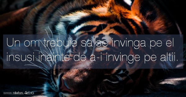 Citate despre viata - #3738