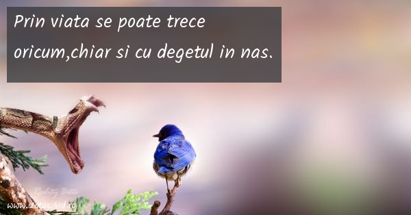 Prin viata se poate trece oricum,chiar si cu...